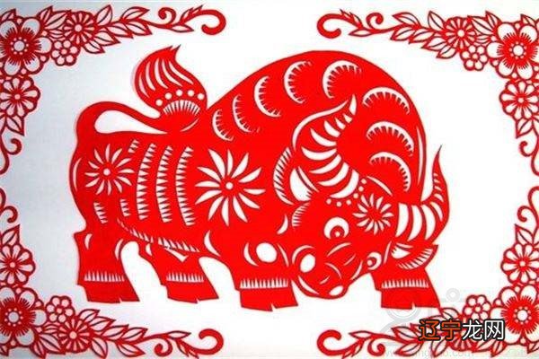 图 癸丑生肖属什么 属牛的朋友性格踏实敦厚，忠诚老实做事情认真负责