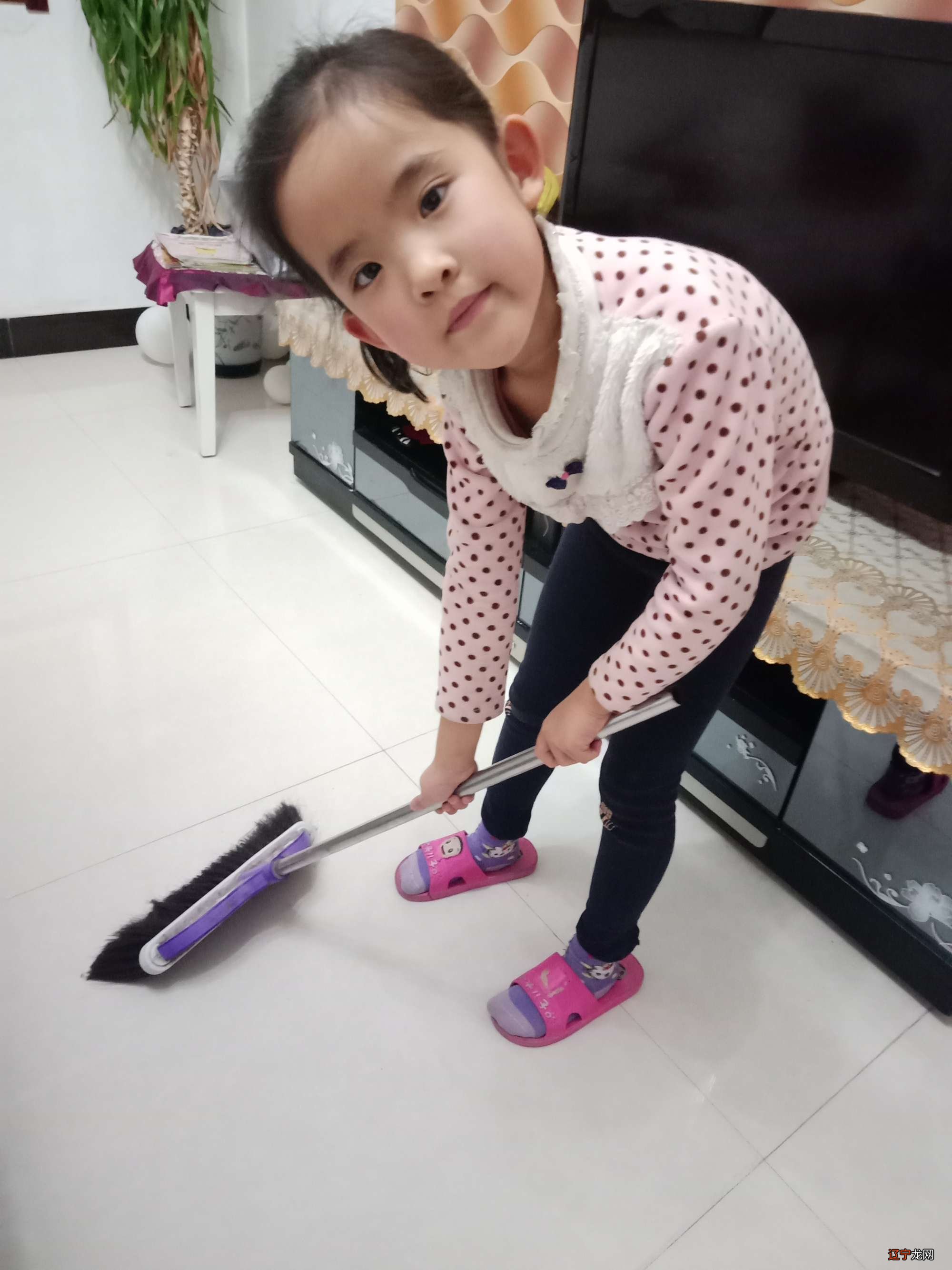 【作文素材】你所见过的作文是什么样的呢?