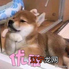 本文针对太阳星座特点分析,不能可能注定相爱相杀CP