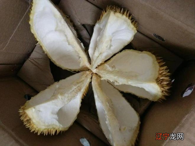 见买吃狗肉_孕妇可以吃羊杂和狗肉吗_吃了狗肉隔多久可以吃绿豆沙