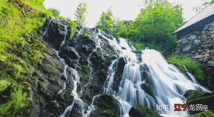 叶小丹不会的生命里的起起伏伏,你知道吗?