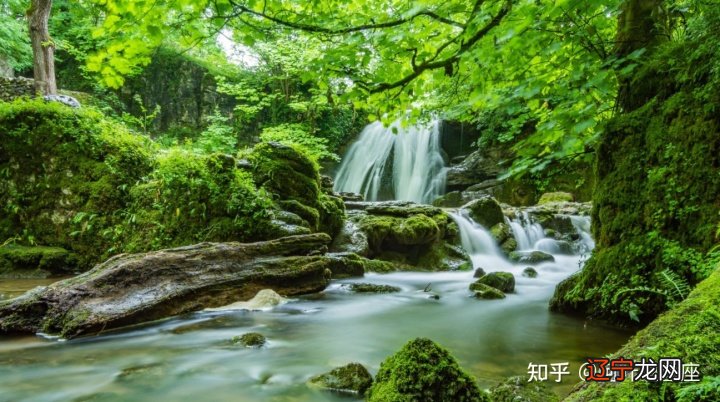 叶小丹不会的生命里的起起伏伏,你知道吗?