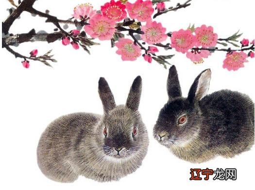 2017丁酉鸡年，开运有些的三大生肖！你知道吗？