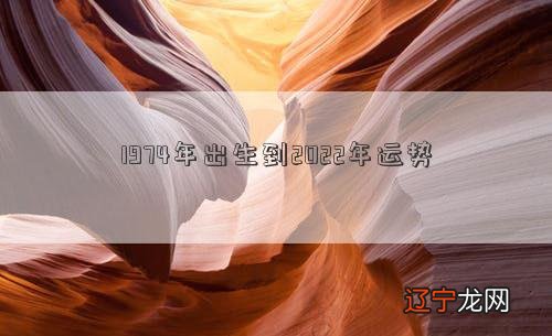 2022年出生的属虎人在职场中的关系