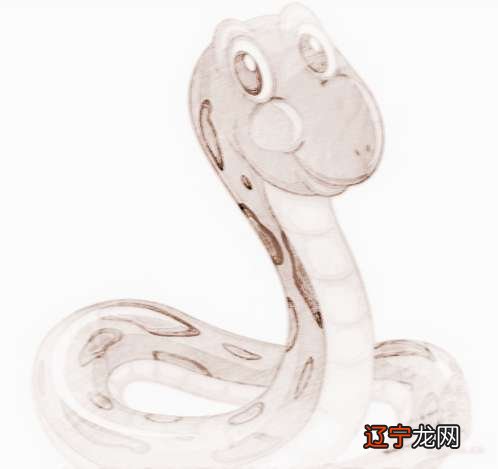 92年属猴和什么属相相配呢？属蛇和属鸡的人相配吗