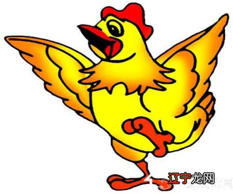 属鸡的2022年的运势及运程是怎样的呢的？