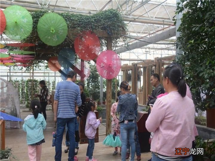 小学生写传统民俗体验_体验一下民俗活动_品味春节 体验民俗剪纸