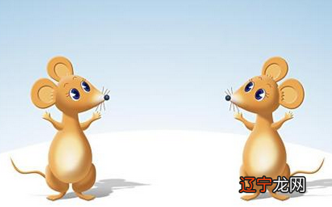 1996年属鼠女今年运势运程怎么样的三大生肖女