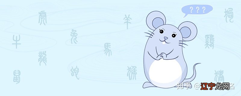 1996年属鼠女今年运势运程怎么样的三大生肖女