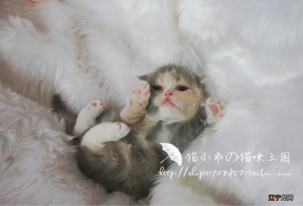 术语叫“大运” 风水堂:人生的运程