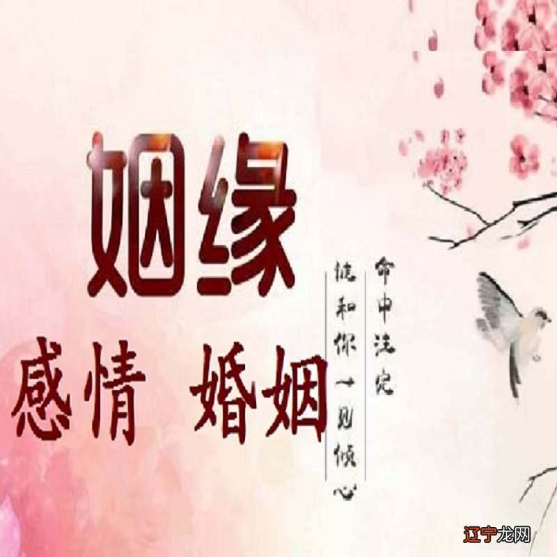 风水堂:离婚了我还能再婚否