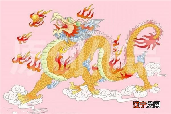 一下1976年属什么生肖几岁什么时候可以退休