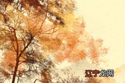 易道风水命理:女命好的八字是怎样的呢的?