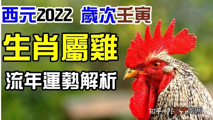今年属牛的运程_属鸡生肖今年的运程_属鼠的今年运程如何