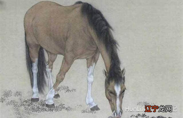 十二生肖的禁忌婚配,看看你是哪种命?