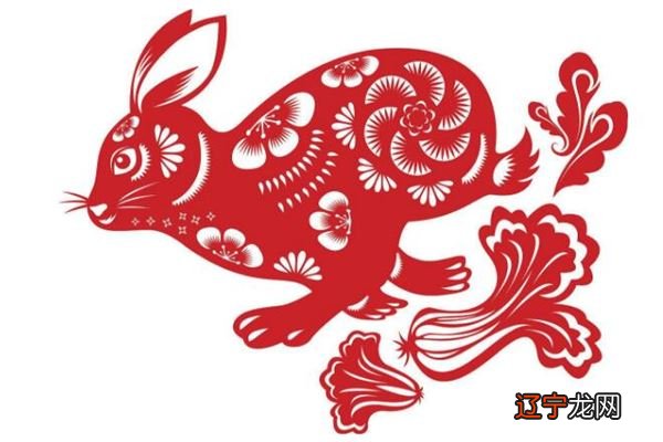 为什么不建议生兔宝宝?天天运势网看看吧!!