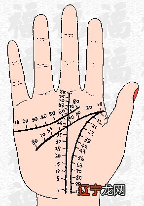 男人手相算命图解_手相算命图解婚姻线_周易手相算命