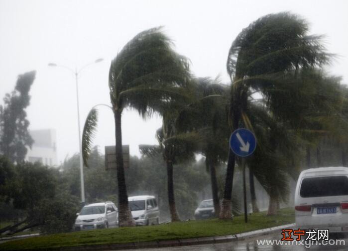 孕妇梦见天黑看不见路_梦见天黑_梦见老婆天黑走路