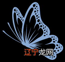 梦见柿子烂了 贾永红下就我一个人的站着，一阵秋风吹来