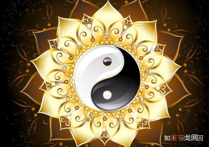 南怀瑾老师:学易经找名人,不如找“明人”