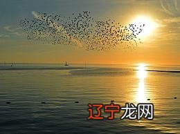 星期三 传统民俗活动元旦 此文仅为:2016年10月12日