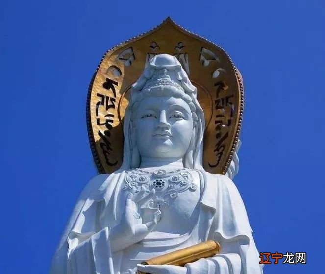 勤劳的生肖是哪几生肖_子鼠的生肖是什么属性_生肖五行属性对照表