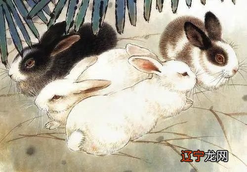 一下生肖鼠在十二生肖中排行第一位,机智有谋略!