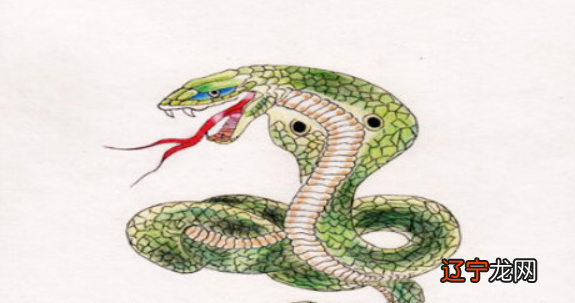 属羊和男属蛇相配吗？女属婚配不配