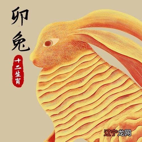 2016年运势12生肖运势_12生肖属蛇2016年运势_1976年属龙人2016年运势