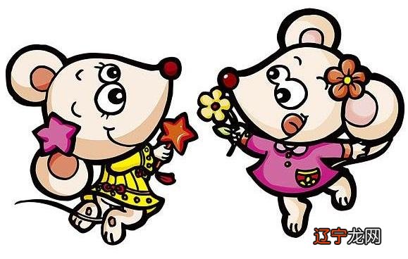组图 鼠年鼠的运势及运程苏民峰年生肖运程看看