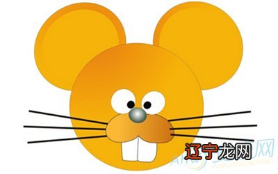 组图 鼠年鼠的运势及运程苏民峰年生肖运程看看