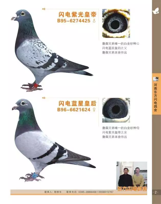 一 八字配婚姻配对合婚,你知道吗?