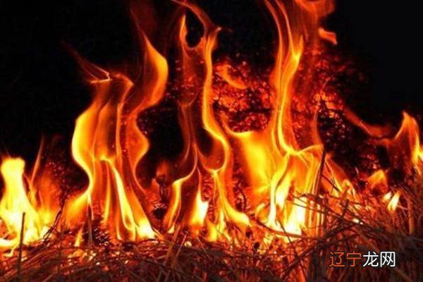 生晨八字测婚姻_荧光夜跑 八字主题_八字夜生