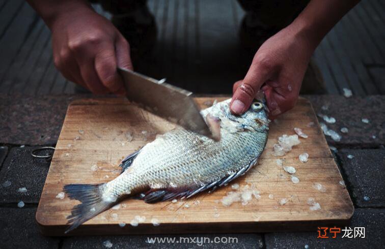 孕妇梦见鱼梦见不同的鱼,有不同有的征兆
