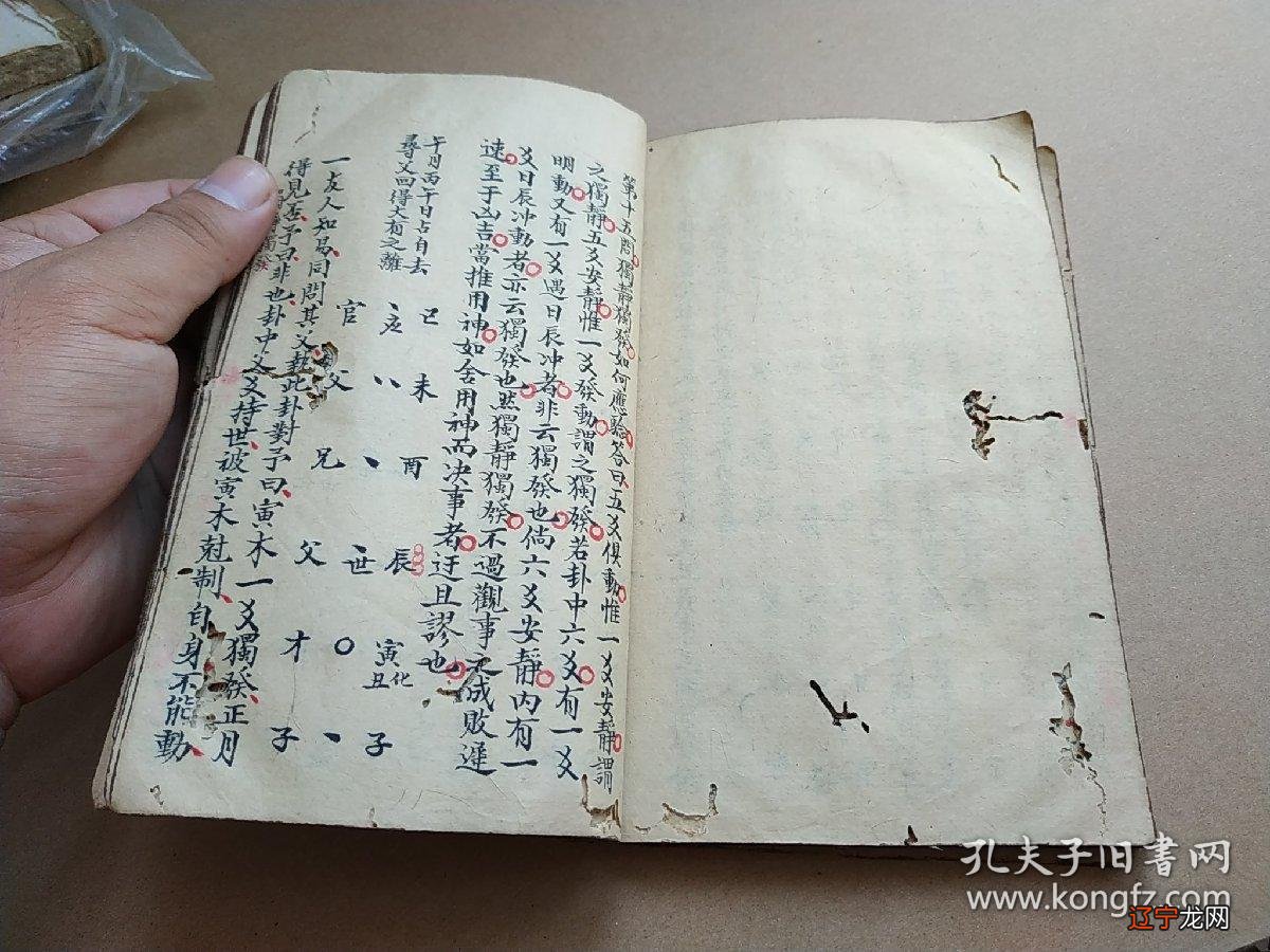 测字占卜_周易占卜周易测字_免费一字测字占卜