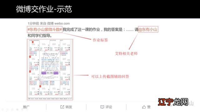 二 【李向东】紫微星在丑宫的命盘解析——日月反背