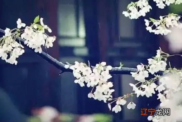 《论语》译：君子以自强不息，勿以善小而。