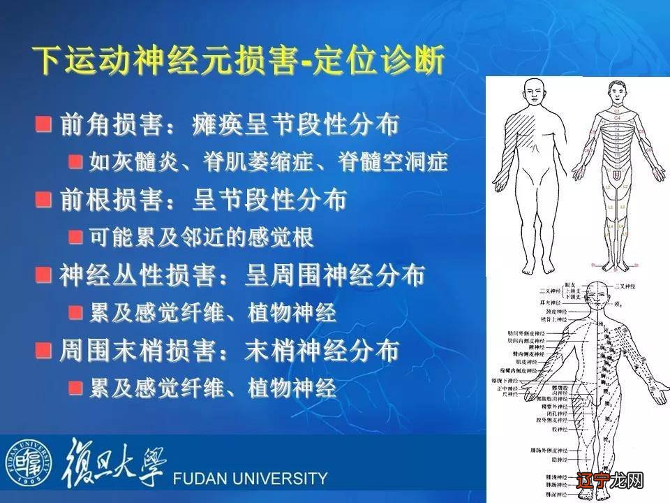 星座象性图_12星座是什么象星座_星座火象水象风象哪些