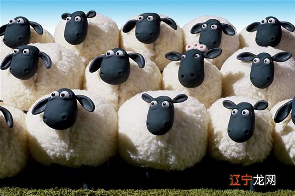 组图 罗李华:属羊2018年运势及运程综述