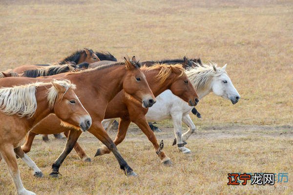 号码吉凶和八字配合_姓名与八字配合的重要性_潮汕婚配合八字