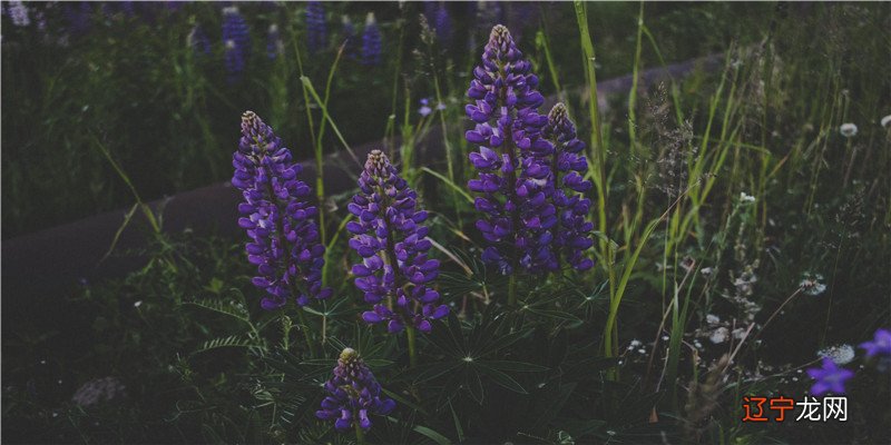 女人经常做什么梦注定嫁不出去的原因有哪些呢？