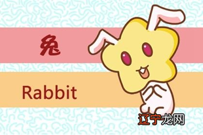 1987年属兔的人来说,2019年运势明显上升