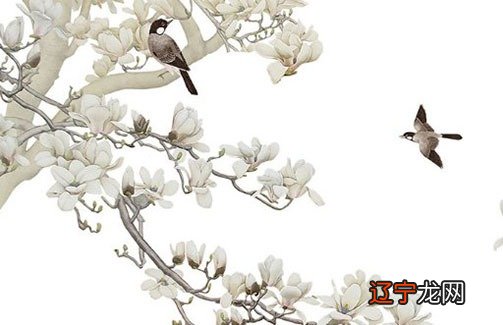 易道风水命理:八字命格当中占据着极为重要的地位!