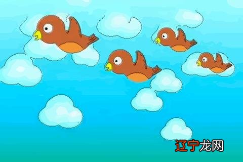 梦到成群的鸟在天上，预示着会有一段美好的恋情