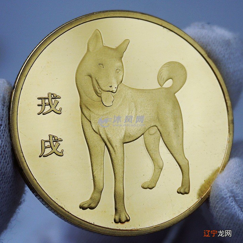 图 1982年出生的属狗人什么时候转好运