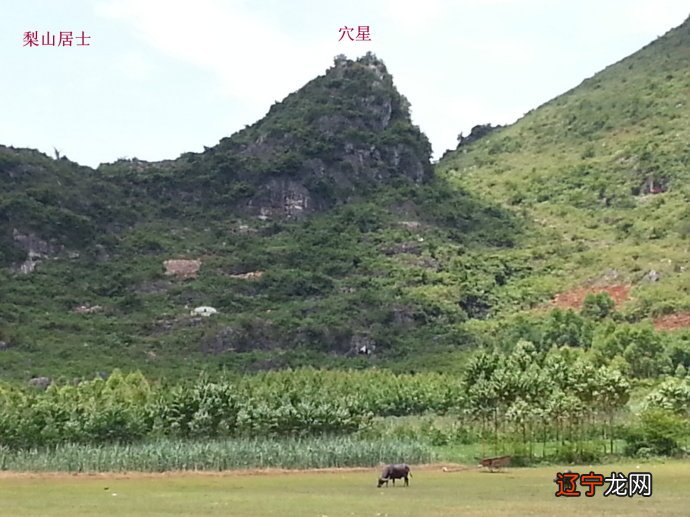 学犀牛中文网教程怎么样_犀牛望月 风水学_风水犀牛地出什么人才