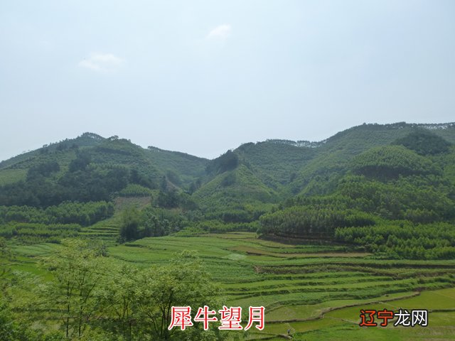 学犀牛中文网教程怎么样_风水犀牛地出什么人才_犀牛望月 风水学