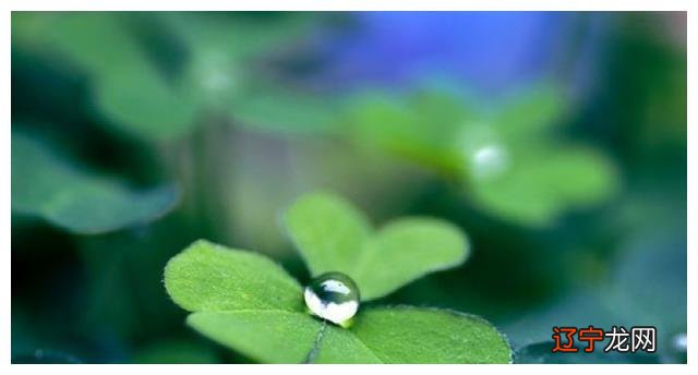 幸运占卜 风水堂:你的名字属于哪种?