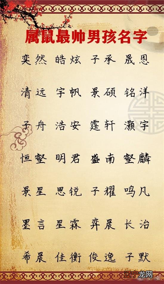 2022宝宝取名字大全,专业的宝宝取名软件,好的名字