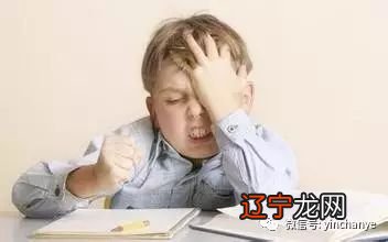 图 《术数资料包V1.2》上一次更新